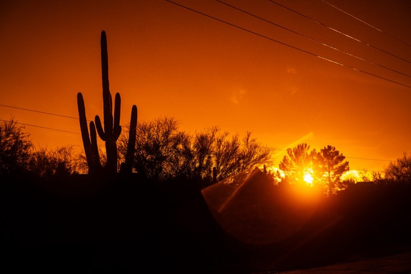 110°F in March: Arizona Shatters a Record That Climate Models Said Was Still Decades Away