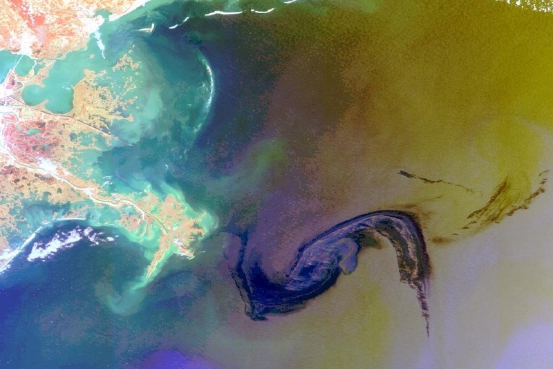 Active Gulf Oil Spill Has Killed Dolphins, Turtles, Damaged 17 Reefs