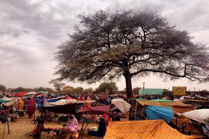 28 Civilians Dead in Sudan as the World Looks Away