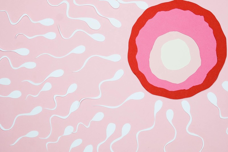 Illustration of sperm cells moving toward an egg, symbolizing the in vitro fertilization process