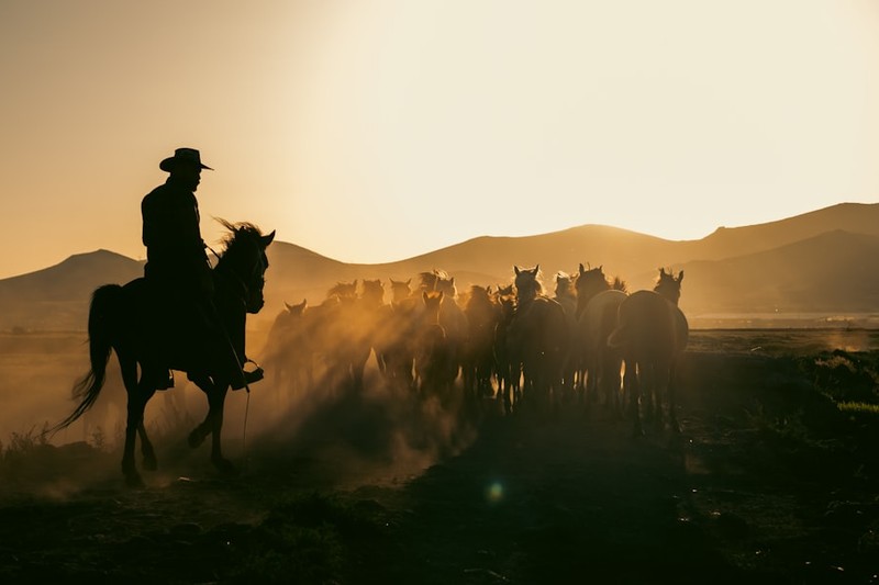 Red Dead Redemption 2 at $15 Is the Deal That Kills Excuses
