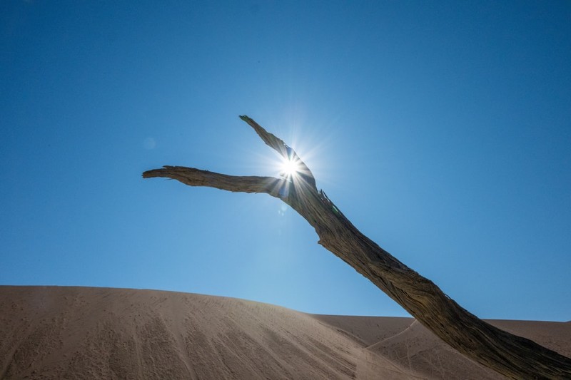 Heat Is Already Deadly at Temperatures Science Called Survivable