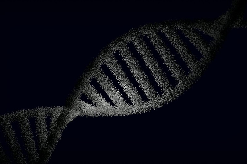 One Edit, New Organs: Scientists Flip Sex Determination with a Single DNA Tweak