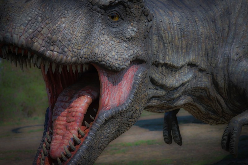 44,000 Players, 58,000 Complaints: ARK at 75% Off Is Steam's Best-Selling Mess