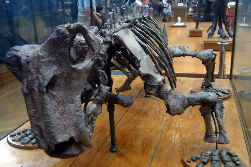 A 250-Million-Year-Old Embryo Just Proved Our Ancestors Laid Eggs
