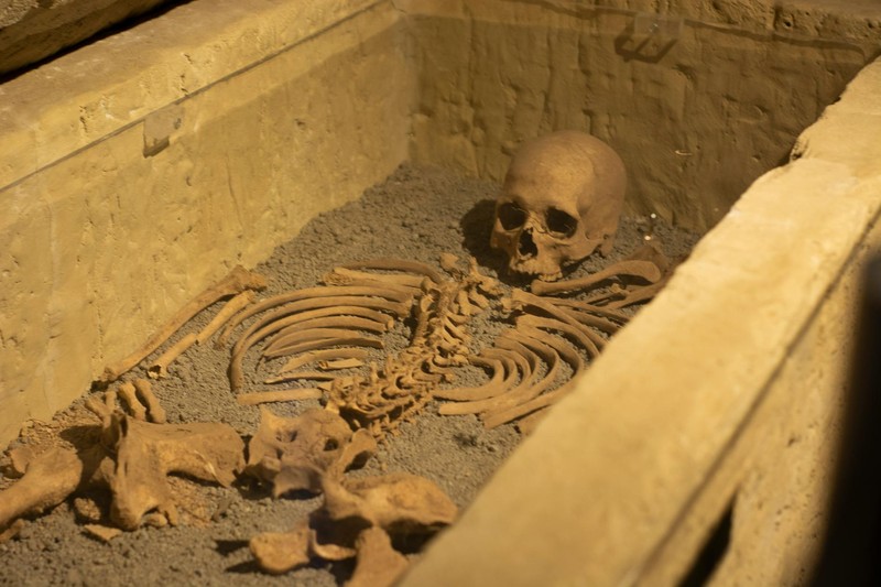 Farming Didn't Buffer Humans From Evolution — It Hit the Gas