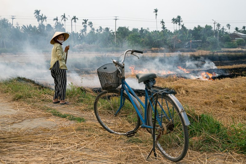 Super El Niño Meets War: Asia Faces a Summer of Hunger