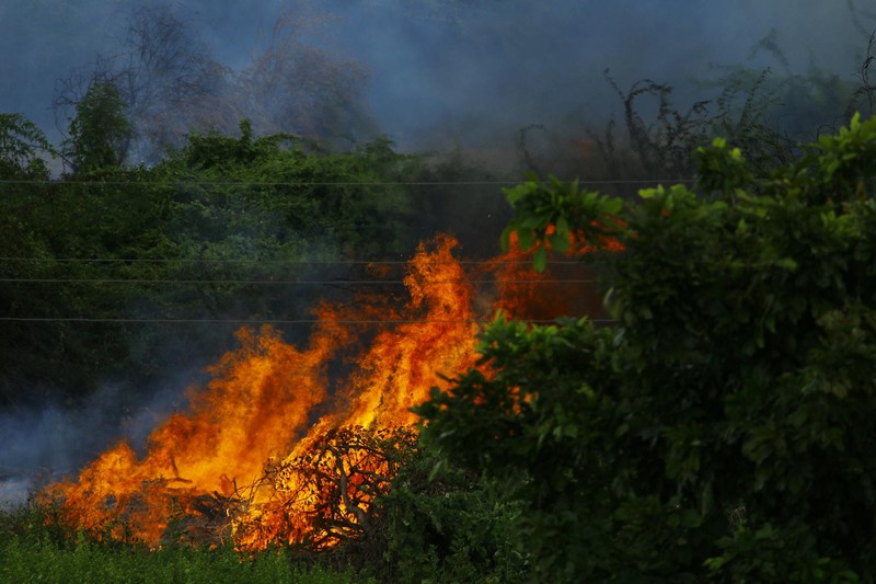 Heat, Fire, Flood: A Third of Wildlife Habitats Face All Three by 2085