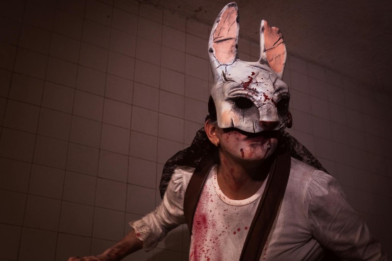 DON'T PEEK Is Getting Destroyed on Steam — and Barely Anyone Showed Up