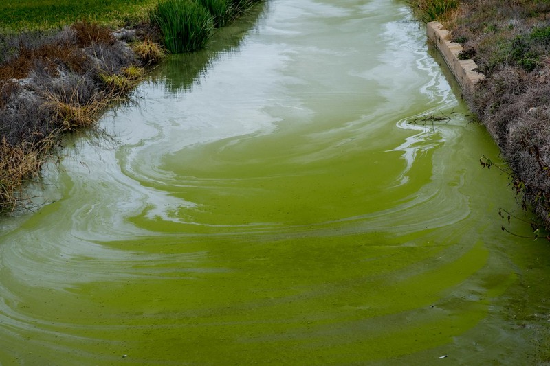 Three Poisoned Rivers, One Landmark Trial: The UK's Biggest Pollution Case Begins