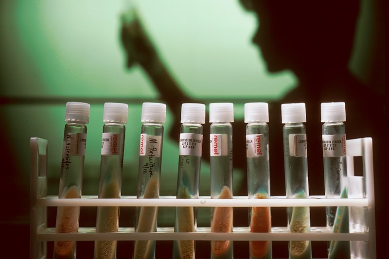Test tubes in a laboratory rack with a silhouetted researcher working in the background