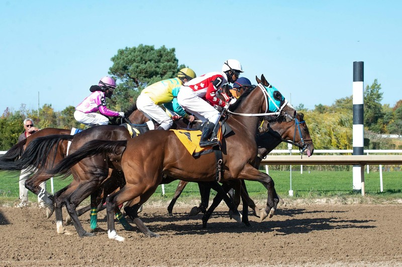 23-1 Odds. First Woman Trainer. Cherie DeVaux Just Rewrote Kentucky Derby History.