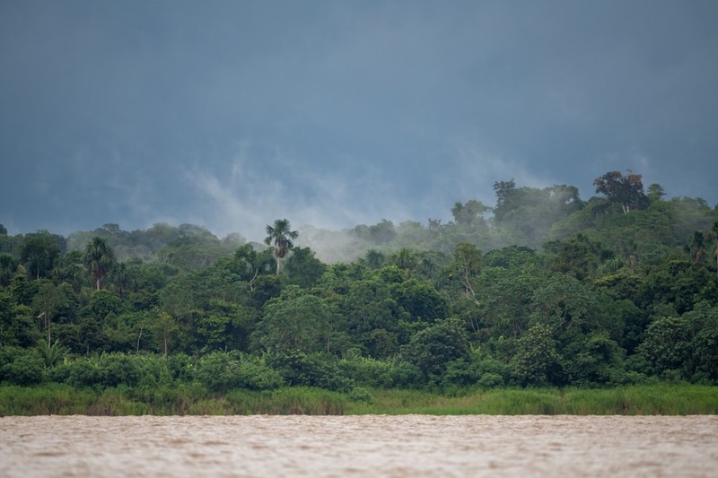Deforestation Just Pushed the Amazon's Tipping Point Below 2°C