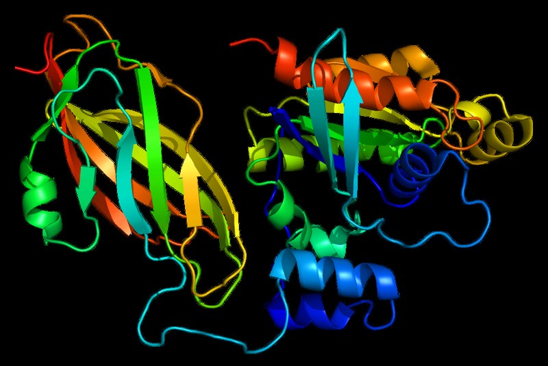 The Proteins Everyone Gave Up On Just Met Their Match
