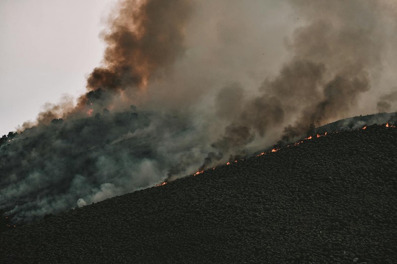 150 Million Hectares Already Burned. A Supercharged El Niño Hasn't Even Arrived Yet.