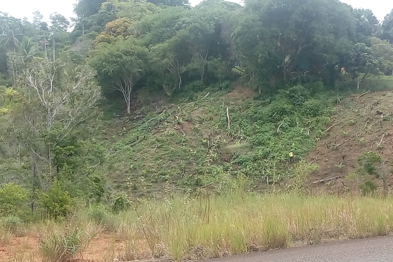 Cleared hillside exposing brown soil contrasts with dense Atlantic Forest above, alongside a paved road in Brazil