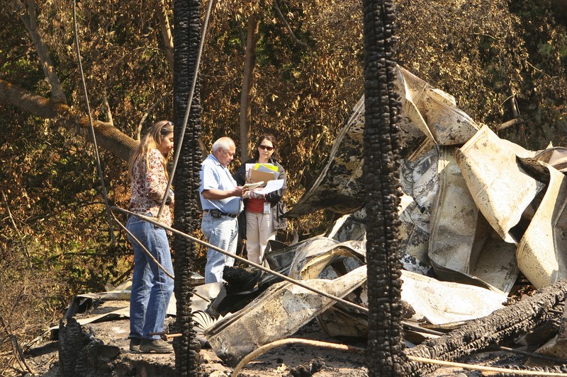 Record Destruction, Near-Record Lows: The 2025 Wildfire Paradox